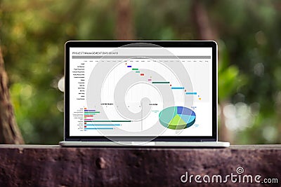 Excel project dashboard on laptop / computer screen concept Stock Photo