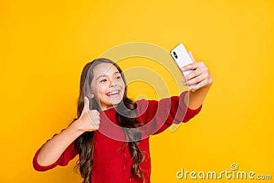 Excellent alright. Portrait of positive cheerful funky wavy curly hair girl make selfie show thumb up sign approve her Stock Photo