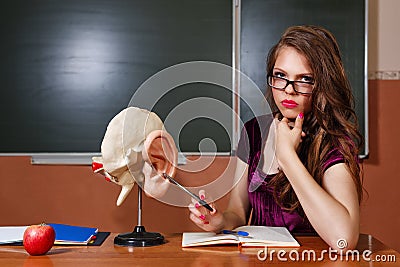 Excellent student in the classroom anatomy. Stock Photo
