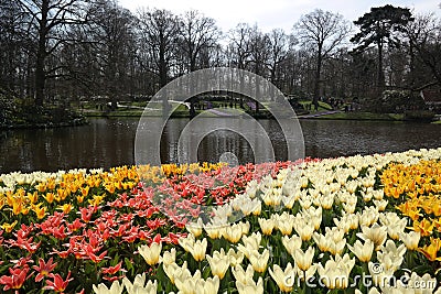 The magical garden of holland Stock Photo