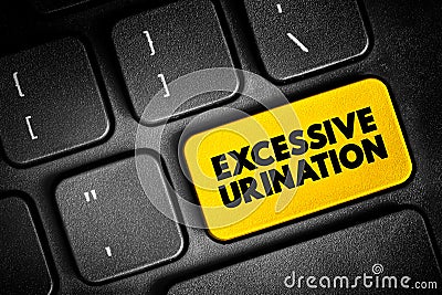 Excessive Urination is when you need to urinate many times throughout a 24-hour period, text button on keyboard, concept Stock Photo