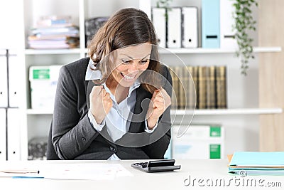 Excited adult executive checking result on calculator at office Stock Photo