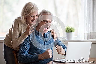 Excited aged wife and husband looking on computer screen Stock Photo