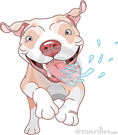 Excited Pit Bull Dog Vector Illustration