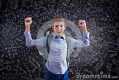 Excited and victorious boy against blackboard with mathematical Stock Photo