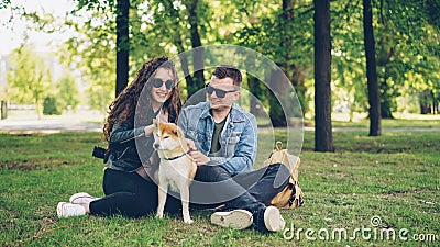 Excited young people loving couple are fussing cute dog shiba inu scratching its fur, talking and laughing sitting on Stock Photo