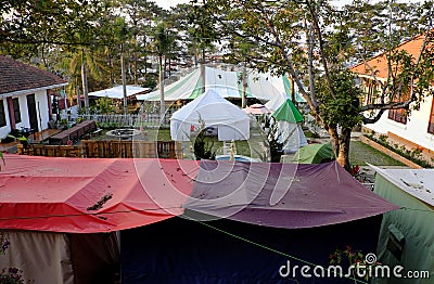 Self travel with tent, hotel outdoor camp under pine tree in spring at Da Lat city Stock Photo