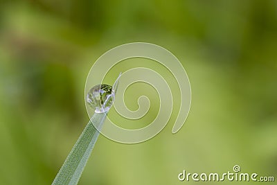 Exciting macro of a drop Stock Photo