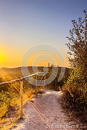 Exciting sunrise over fogged park, aerial view, Lviv Stock Photo