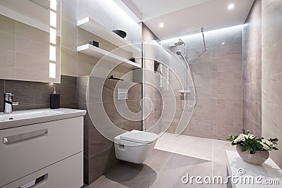 Exclusive modern bathroom Stock Photo