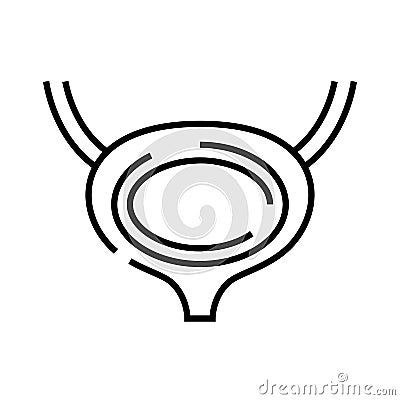 Excretory bladder line icon, concept sign, outline vector illustration, linear symbol. Vector Illustration