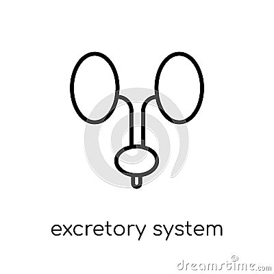 Excretory system icon. Trendy modern flat linear vector Excretory system icon on white background from thin line Human Body Parts Vector Illustration