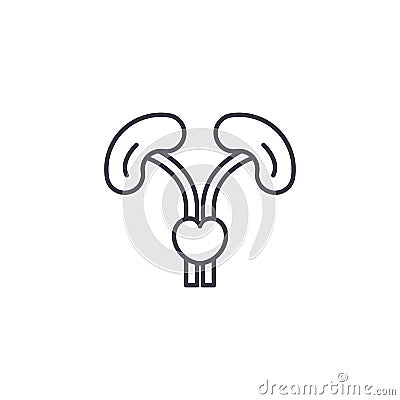 Excretory system linear icon concept. Excretory system line vector sign, symbol, illustration. Vector Illustration