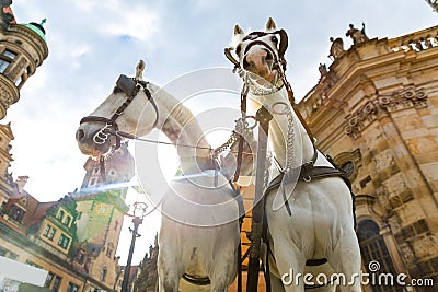 Excursion horses faces in old European tow Stock Photo