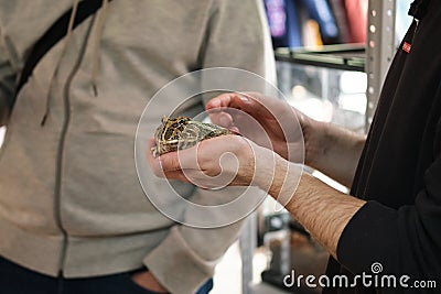 On excursion to exotarium, under strict supervision, children allowed to hold toad in hands and touch it. Unusual pets Stock Photo