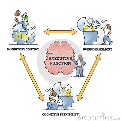 Executive function or cognitive control, vector illustration outline diagram Vector Illustration