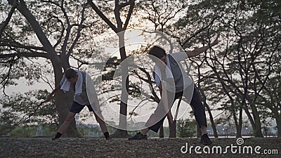 Exercice supérieur actif heureux de couples et étirement au parc en du soir au coucher du soleil. Activités de plein air s d'amant banque de vidéos Exercice supérieur actif heureux de couples et étirement au parc en du soir au coucher du soleil. Activités de plein air s d'amant banque de vidéos
