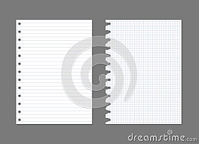 Exercise book paper page background. Notebook sheet lined texture pattern Vector Illustration