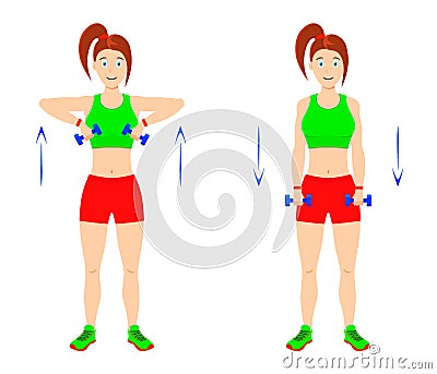 Exercise at home. Young curvy girl doing exercises with dumbbells for arm muscles. Vector Illustration