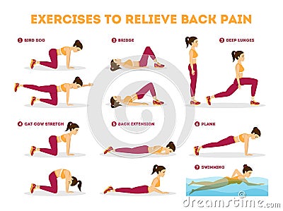 Exercise set to relieve back pain. Stretching and training Vector Illustration