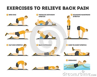 Exercise set to relieve back pain. Stretching and training Vector Illustration