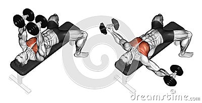 Exercising. Breeding dumbbells lying Stock Photo