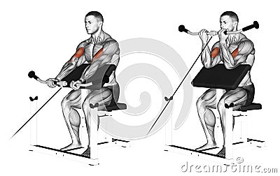 Exercising. Cable peacher curl Stock Photo