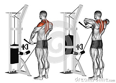 Exercising. Cable Upright Rows Stock Photo