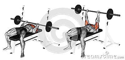 Exercising. Close-Grip Barbell Bench Press Stock Photo