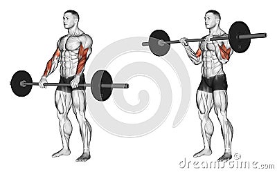 Exercising. Curl with a barbell grip on top Stock Photo