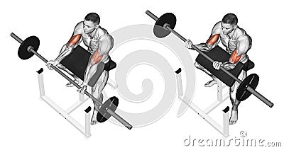 Exercising. Curls on the bench Stock Photo