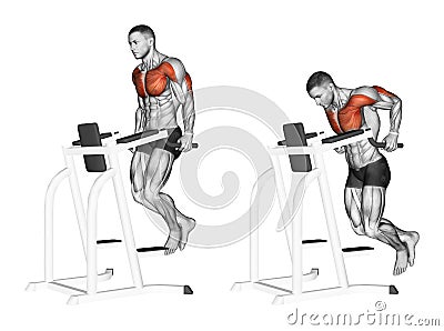 Exercising. Dips in the simulator Stock Photo