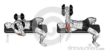 Exercising. Dumbbell bench press lying down with y Stock Photo