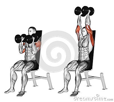 Exercising. Dumbbell Seated Shoulder Press Parallel Grip Stock Photo