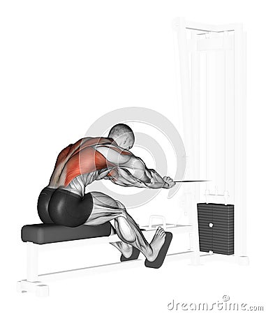 Exercising. End of the lower block Rowing Stock Photo