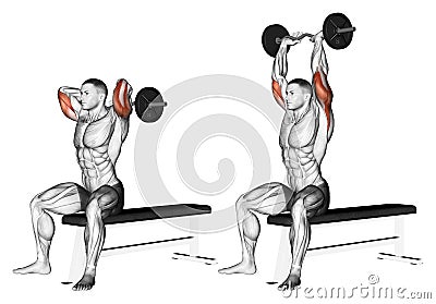 Exercising. Extension arms with curved barbell fro Stock Photo