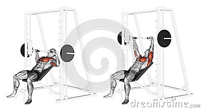 Exercising. Incline Smith Machine Bench Press Stock Photo