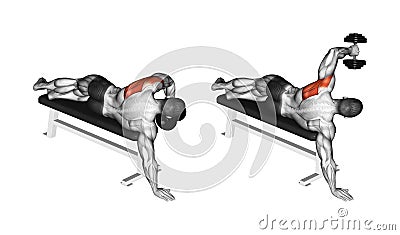 Exercising. Lead hand with a dumbbell rear deltoid Stock Photo