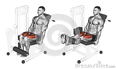 Exercising. Leg extension in the simulator on quadriceps Stock Photo