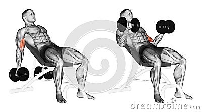 Exercising. Lifting dumbbells for biceps muscles on an incline bench Stock Photo