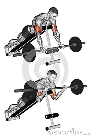 Exercising. Lying incline curl Stock Photo