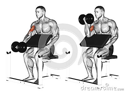 Exercising. One arm dumbbell preacher curl Stock Photo