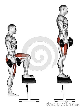 Exercising. Pacing with dumbbells on bench Stock Photo