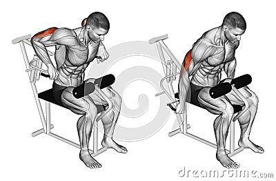 Exercising. Presses in simulator on triceps muscle Stock Photo