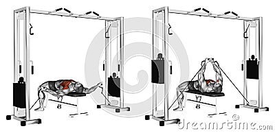 Exercising. Reduction of arms to lower block Stock Photo