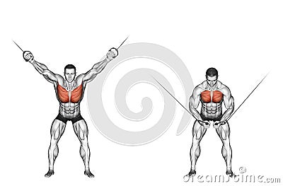 Exercising. Reduction of the upper blocks CROSS-OV Stock Photo