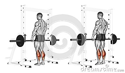 Exercising. Rise on toes with a barbell Stock Photo