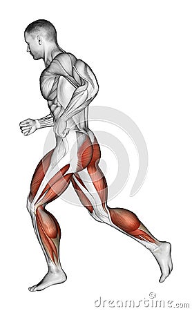 Exercising. running Stock Photo