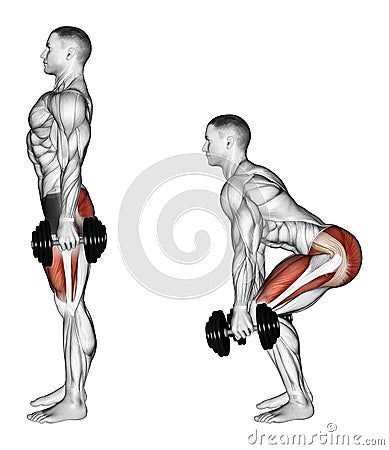 Exercising. Squats with dumbbells Stock Photo