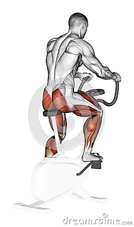 Exercising. Training on a stationary bike Stock Photo